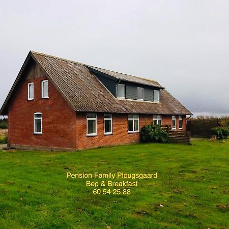 Pension Family Plougsgaard Рінґкебінґ Екстер'єр фото